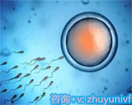 重燃生命希望:高龄孕产的挑战与启示