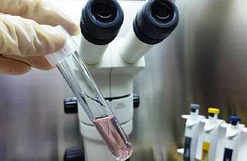 河北助孕官网服务优势与机构详情