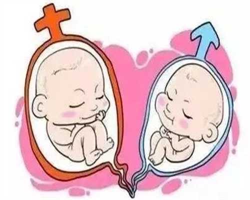 海口知名助孕机构综合排名与选择指南