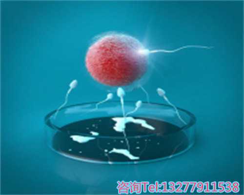 茂名助孕机构及费用解析,附成功率与关键注意事项